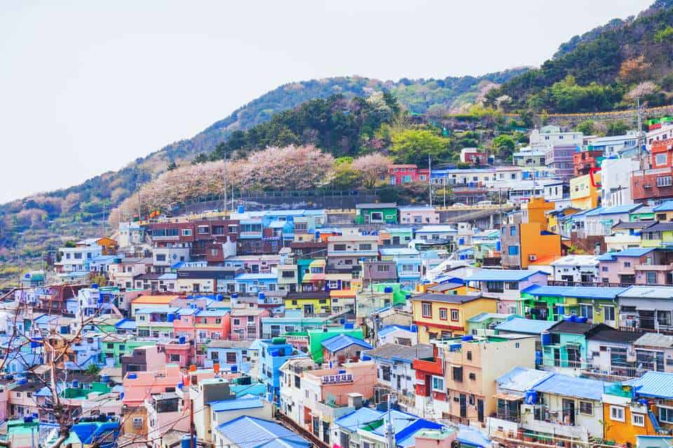 Busan Özel Jet Kiralama